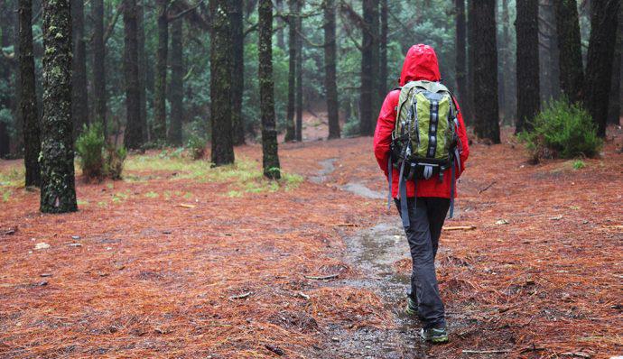 Hiker wearing red jacket walks in wet forest