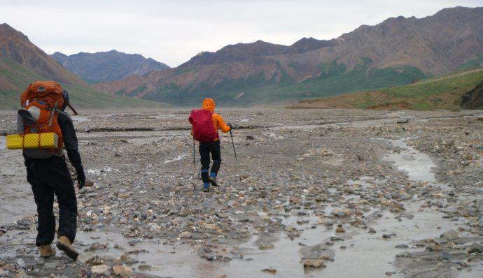 Hiking across a river bed in Denali National Park