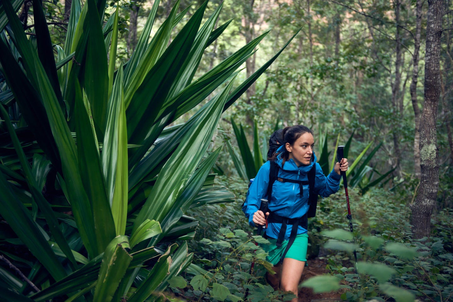 Earth. Hiking in Hawaiiâs Waimea Canyon