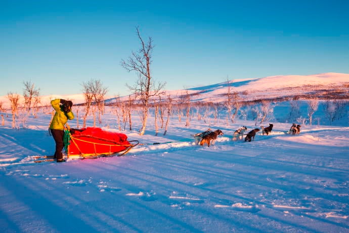 Dogsledding through Dividal and Rohkunborri National Parks. Norway.