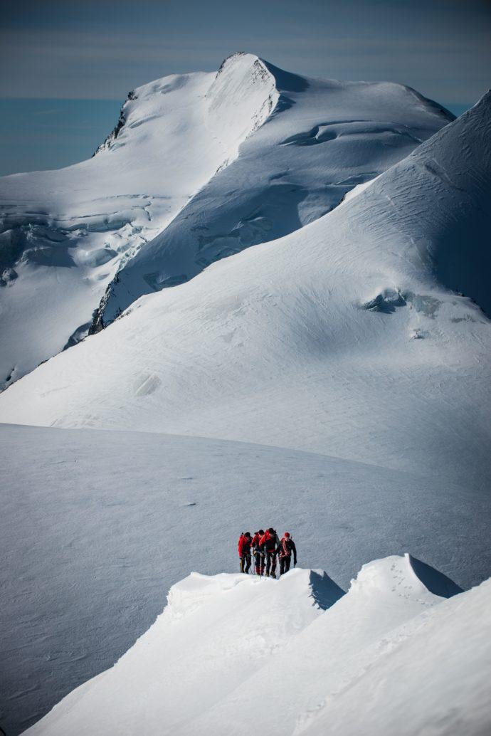 ts_sh0428_alphubel_d-78340