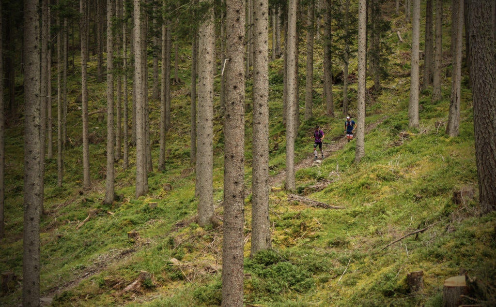 Foto: Philipp Reiter