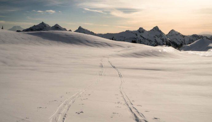 snow and ski tracks