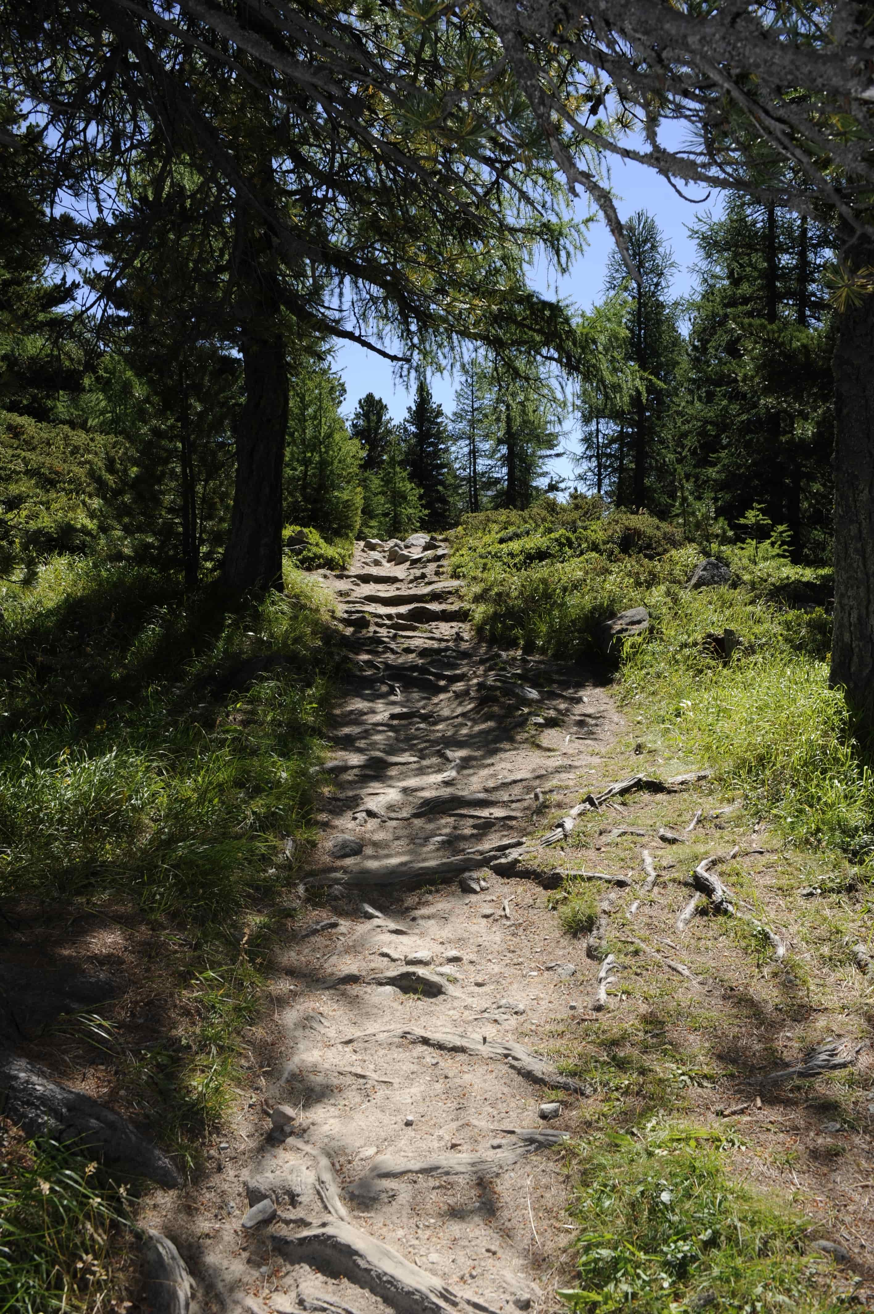 Step Outside: Why Local Trails Matter