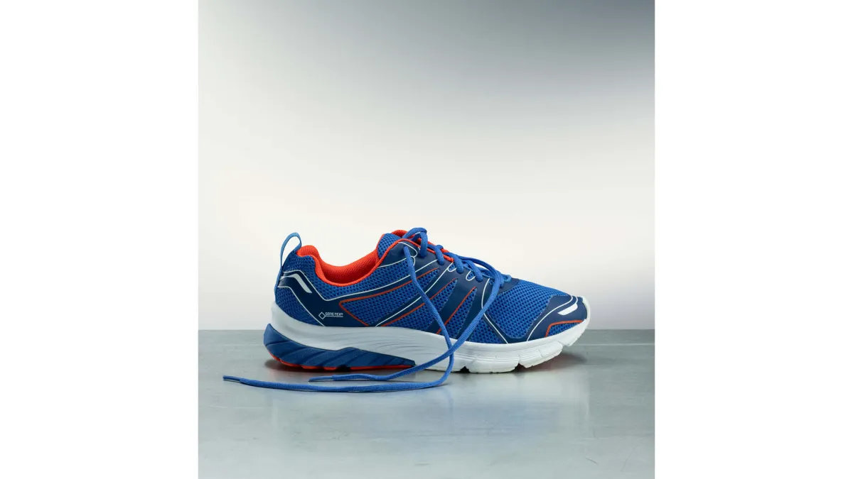 2017 GORE-TEX Invisible Fit skor